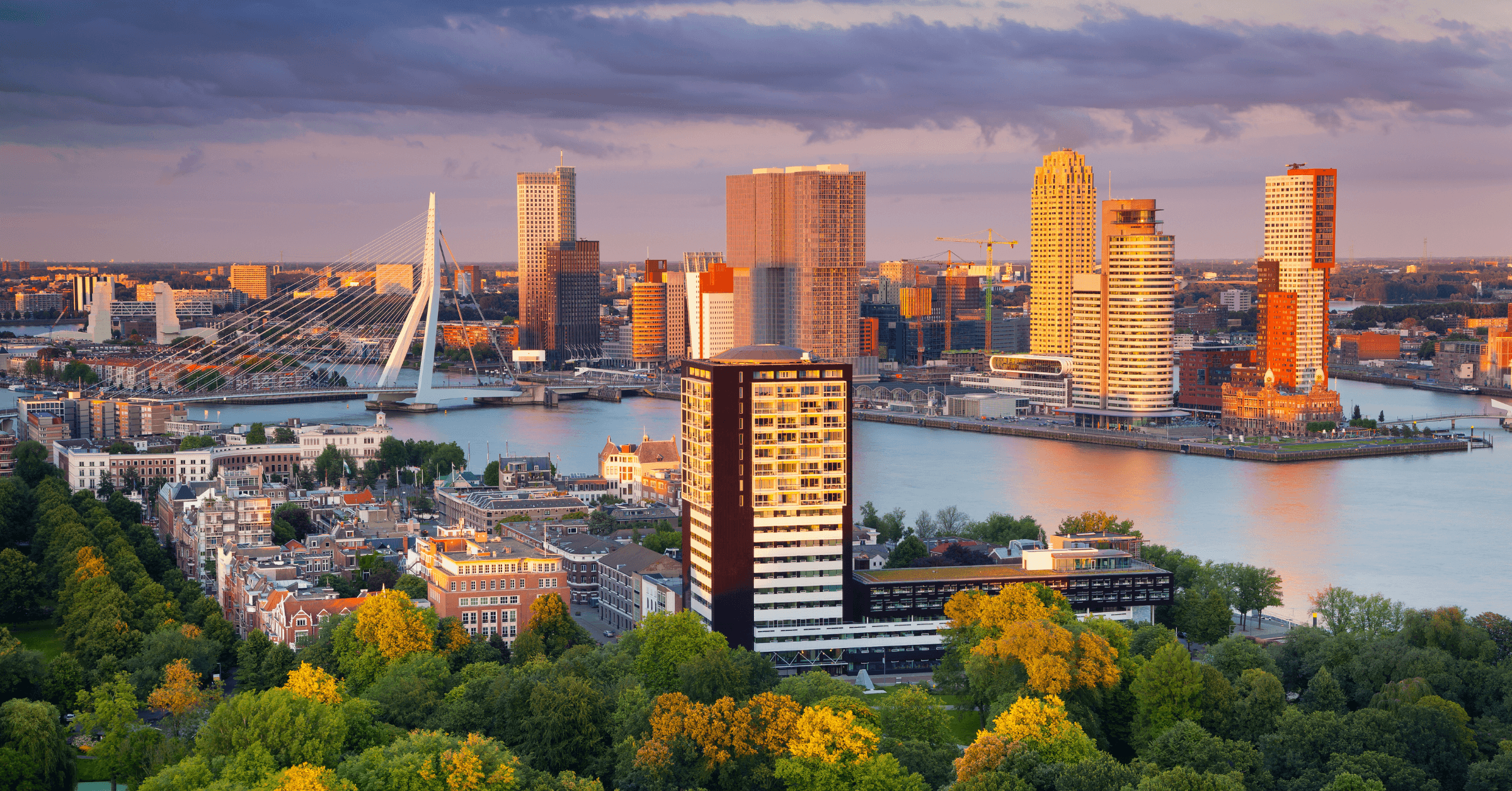 placeholder placeholder