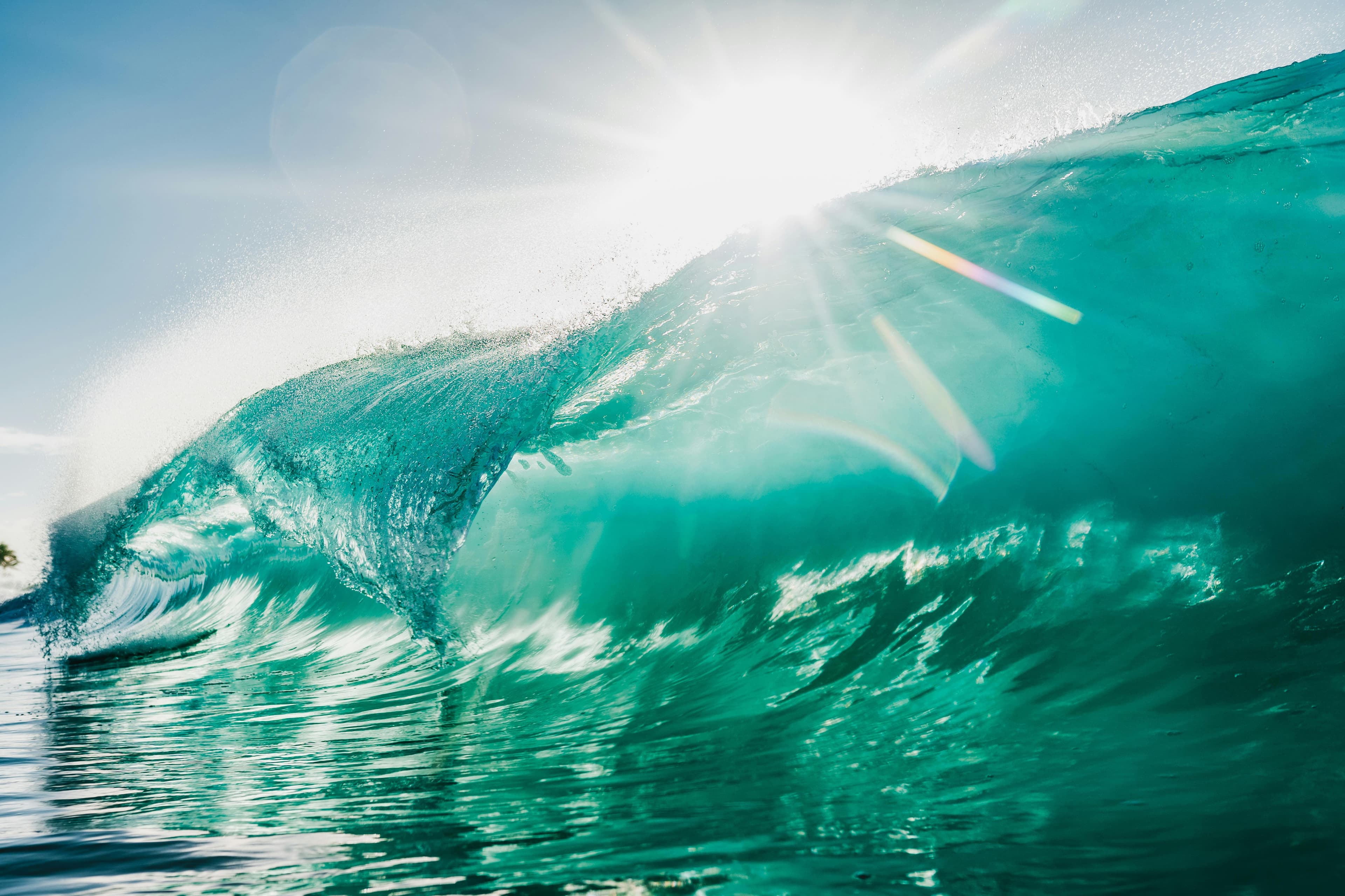 placeholder placeholder