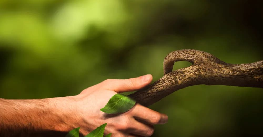 Raamovereenkomsten placeholder