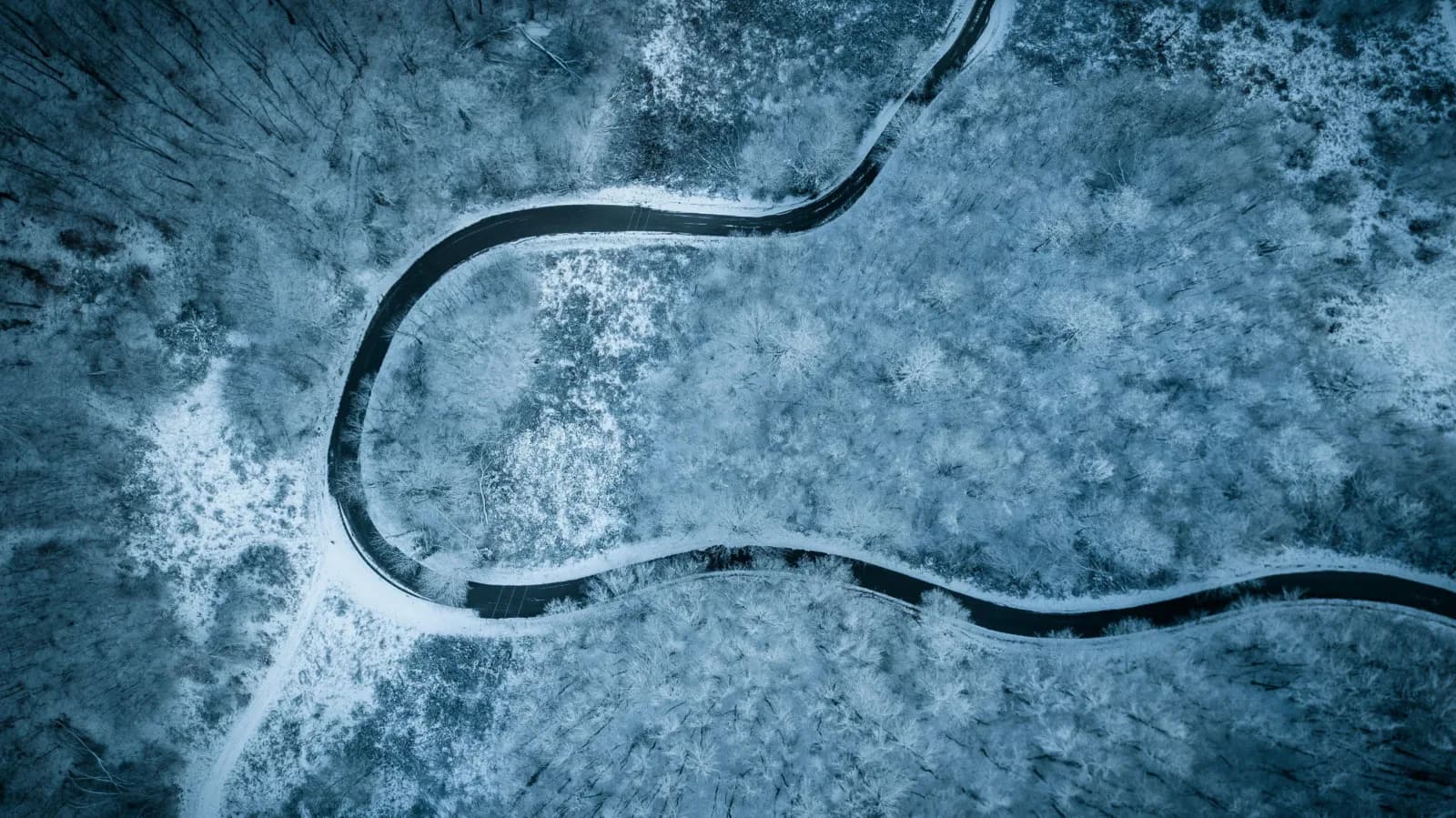 De architect is de onmisbare duizendpoot in een scrum team Solution architects and Scrum teams
Connecting IT and Business in Scrum
Solution architect as a quality manager in Agile teams