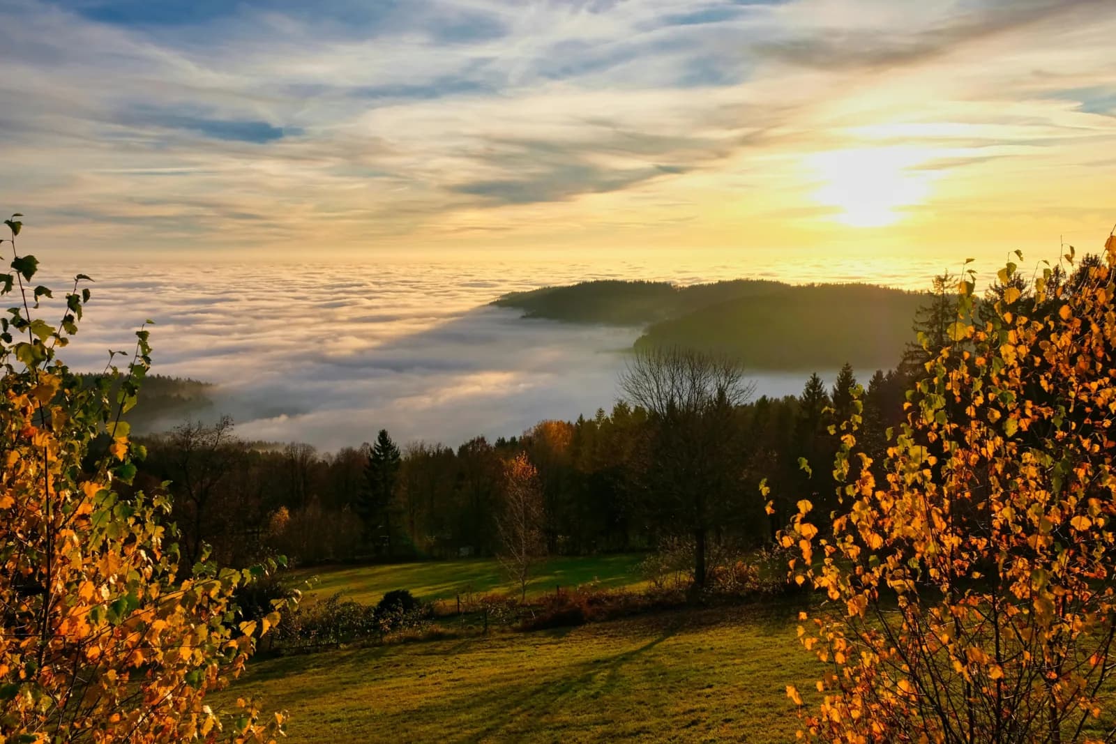 Doorbraak in regulering van Artificiële Intelligentie de AI Verordening AI Act