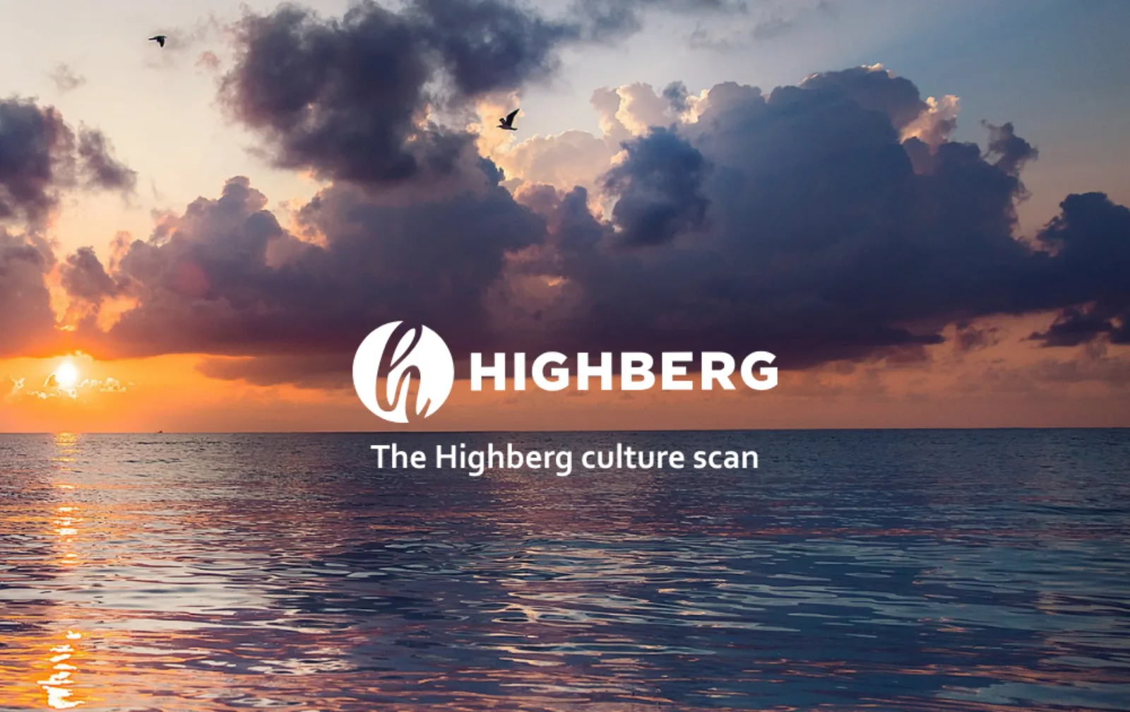 Highberg Culture Scan Cultuurscan, Consultancy Verandermanagement, Cultuurscan maken
