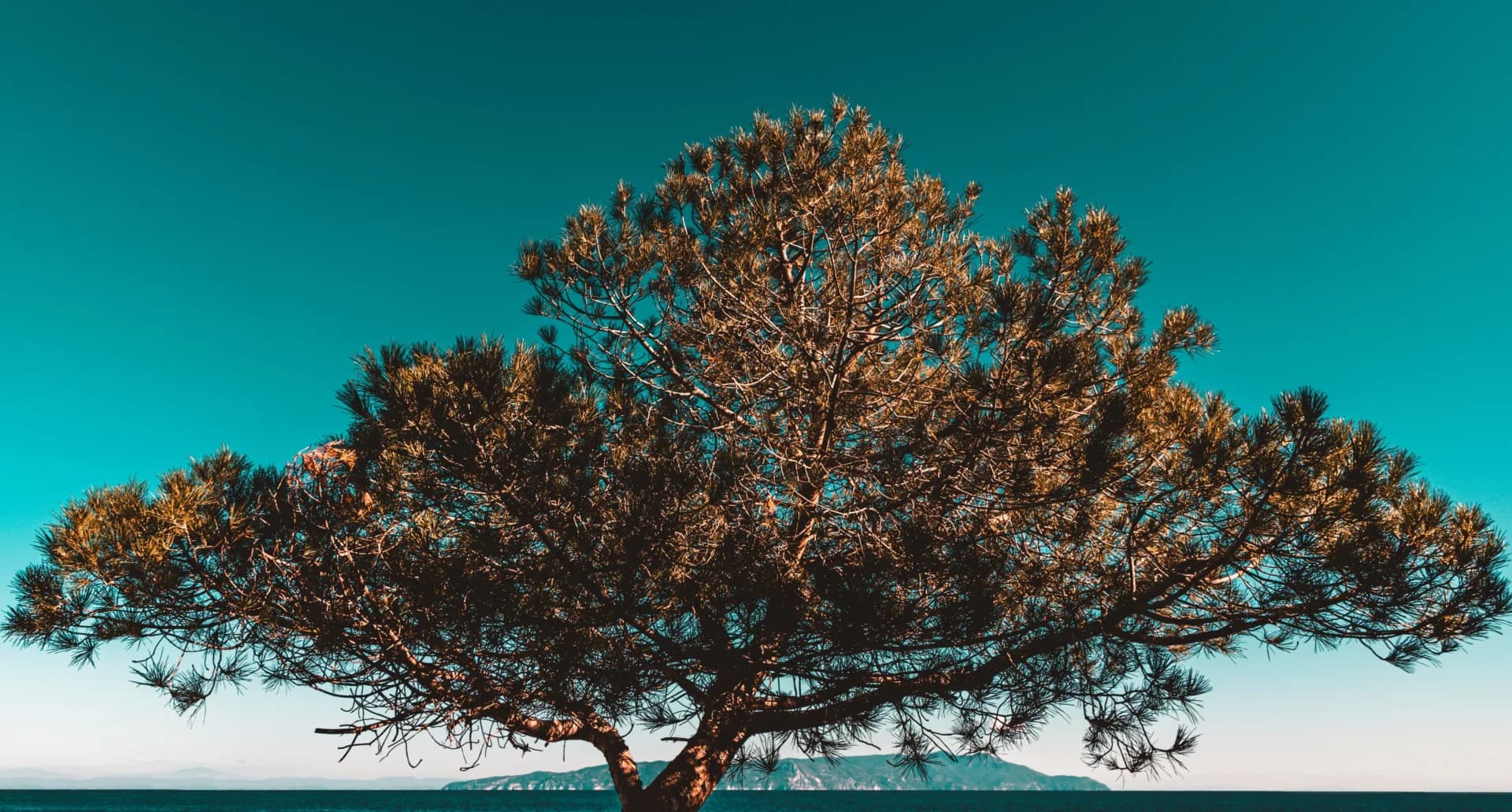 proud-to-be-a-b-corp Trots om een B Corp te zijn