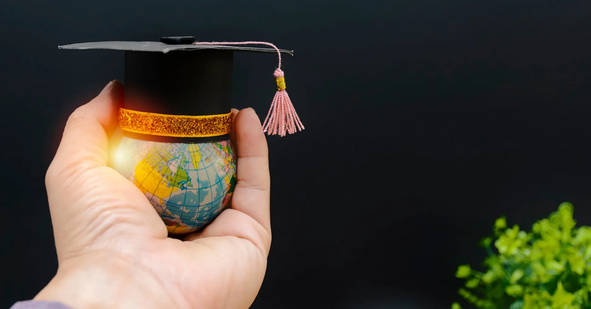 Praktijkgerichte Privacy Opleidingen Placeholder text