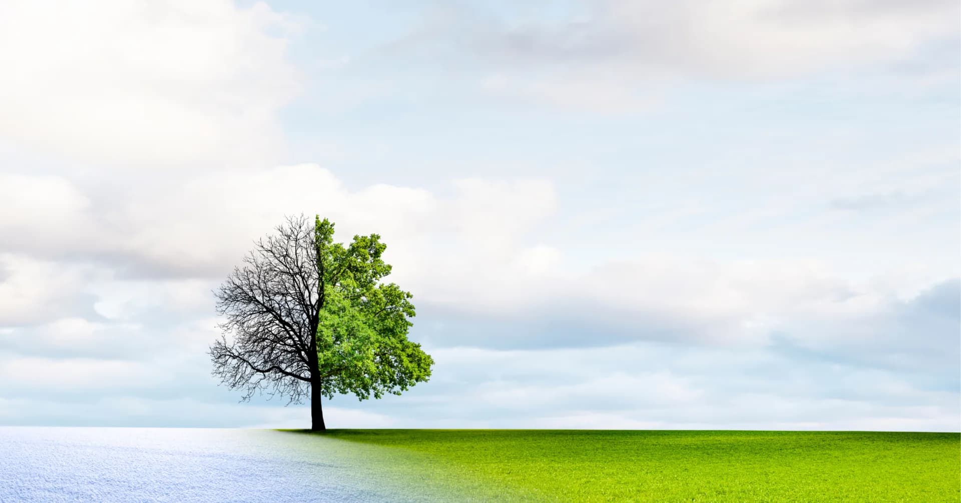 Lean BCM Placeholder text