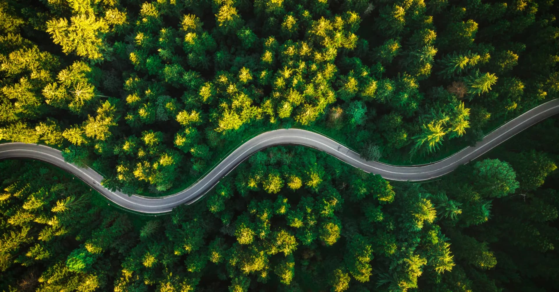 Data Management Data Governance data governance, data management, data integration