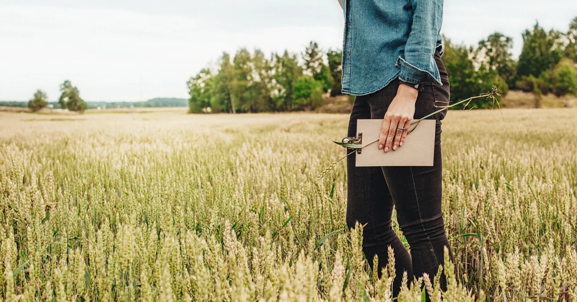 IT Audit | Highberg IT Audit, IT Auditer