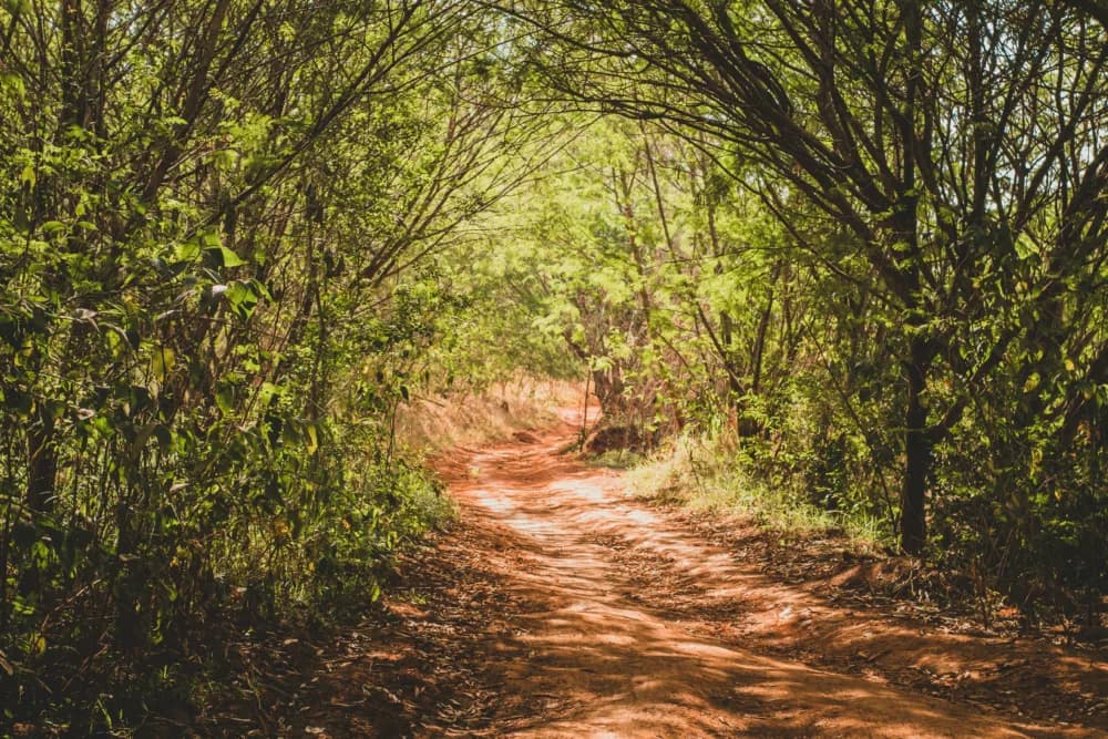 Der-Weg-Richtung-Nachhaltigkeit placeholder