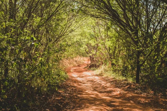 towards-sustainability placeholder